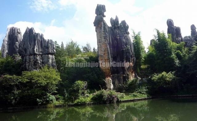 Stone Forest View Kunming