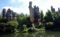 Stone Forest View Kunming