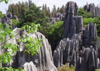 Marvelous Stone Forest Kunming