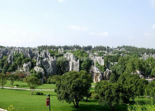 Stone Forest Charming Landscape Kunming