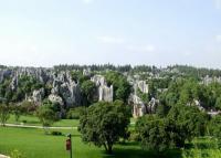 Stone Forest Charming Landscape Kunming