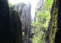 Stone Forest Plank Road Kunming