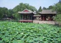 Summer Palace Lotus Pond