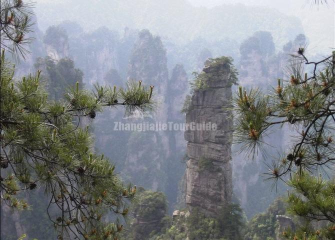 Suoxiyu Nature Reserve Zhangjiajie