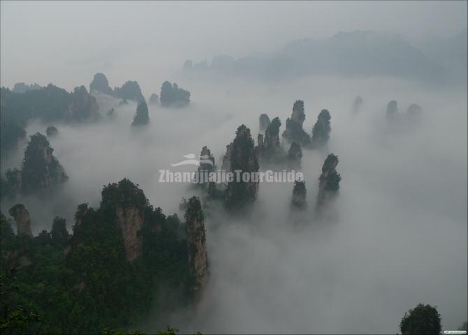 Sea of Clouds at Suoxi Valley Nature Reserve