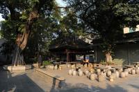 Guangzhou Temple of Six Banyan Trees Landscape 