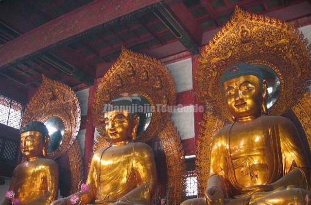 Temple of Six Banyan Trees Figure of Buddha