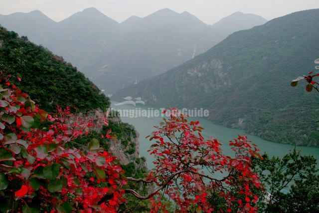 Three Gorges Charming Scenery China