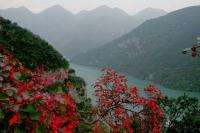 Three Gorges Charming Scenery China