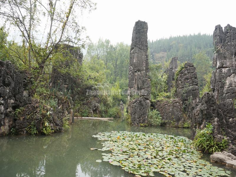 Guizhou Tianxing Bridge Scenic Area