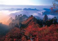 Tianzi Mountain