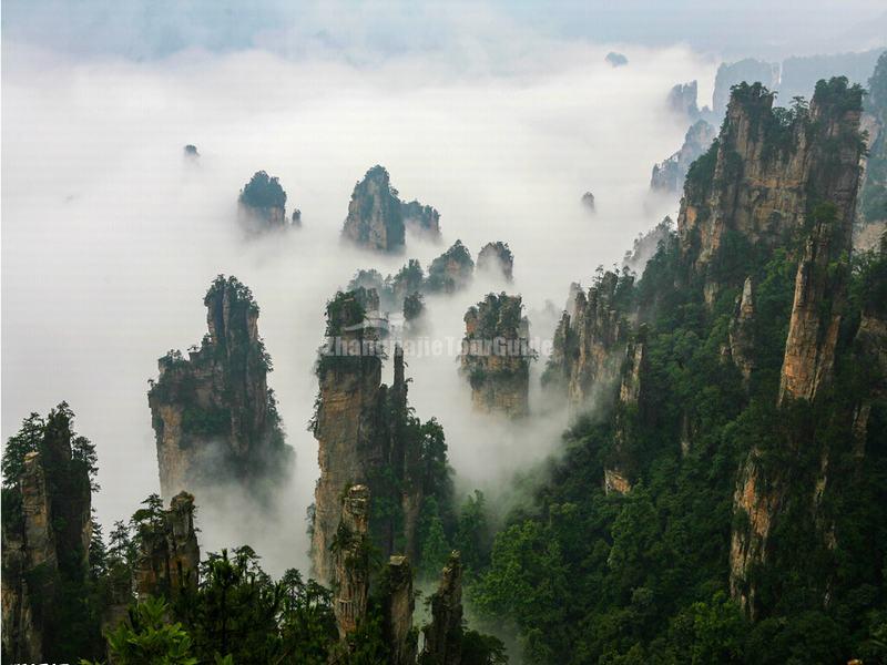 Zhangjiajie Tianzi Mountain