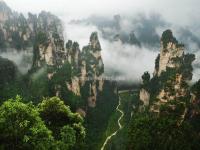 Tianzi Mountain