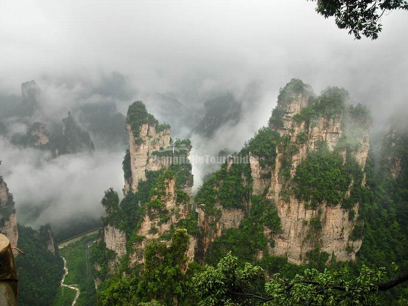 Tianzi Mountain