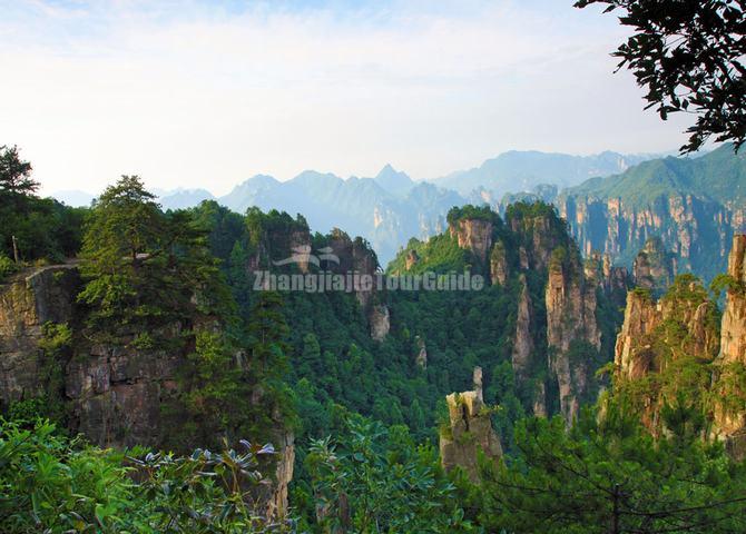 Tianzi Mountain