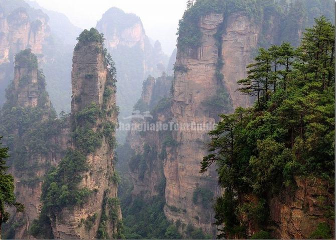 Tianzi Mountain