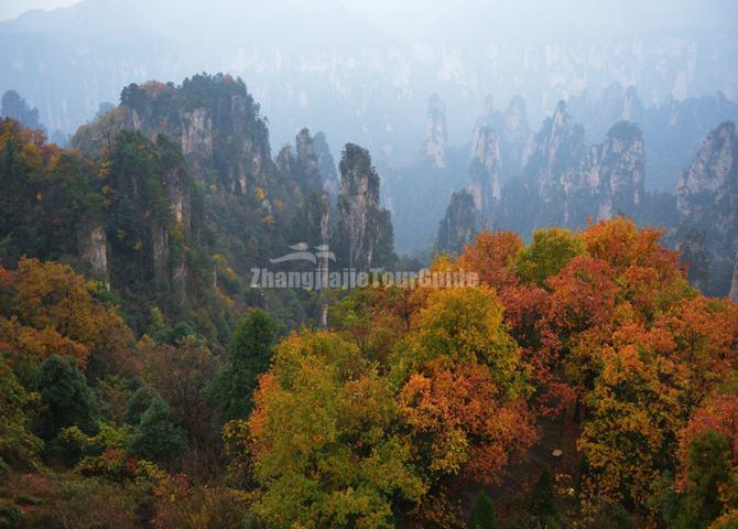 Tianzi Mountain