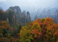 Tianzi Mountain