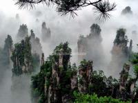 Tianzi Mountain