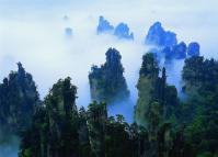 Tianzi Mountain Nature Reserve