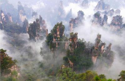 Tianzi Mountain