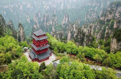 Tianzi Mountain - Zhangjiajie