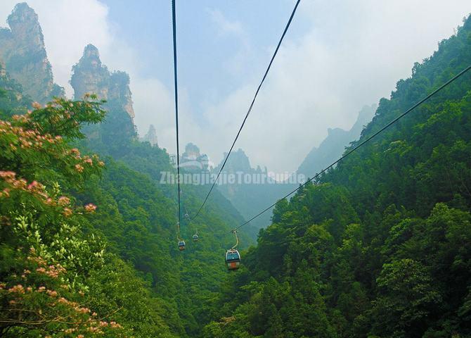 Tianzi Mountain