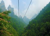 Tianzi Mountain