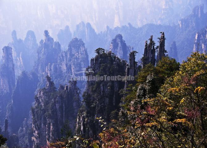Tianzi Mountain