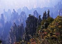 Tianzi Mountain