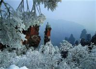 Tianzi Mountain