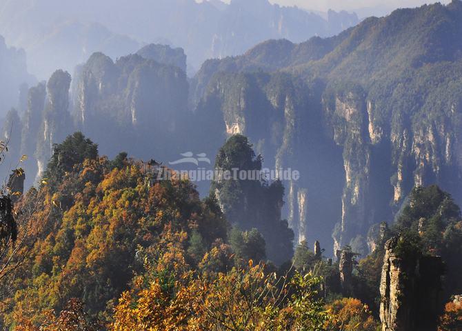 Zhangjiajie Tianzi Mountain Scenic Area