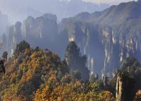 Zhangjiajie Tianzi Mountain Scenic Area