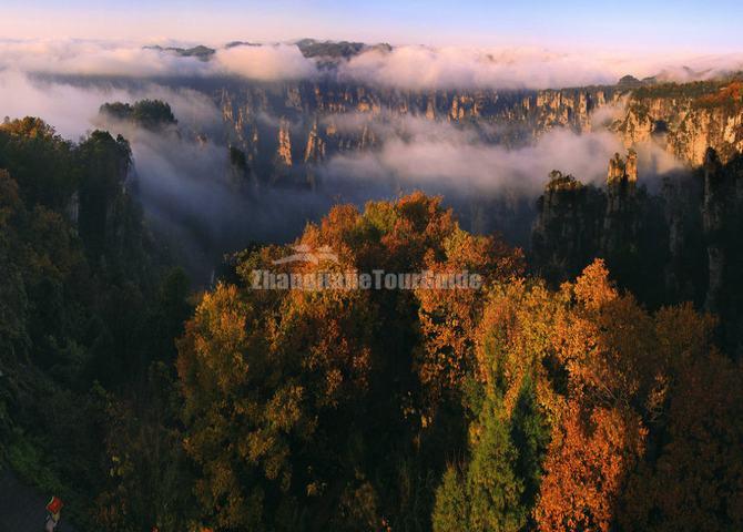 Tianzi Mountain