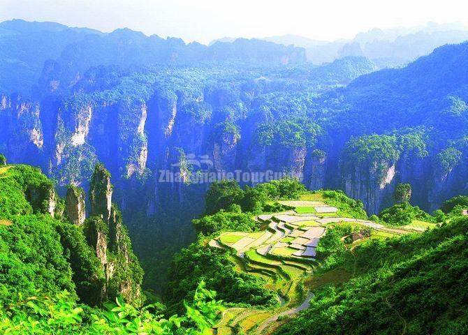 Zhangjiajie Tianzi Mountain