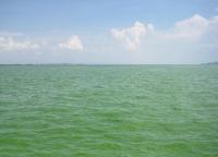 Dian Lake Beautiful Water Kunming