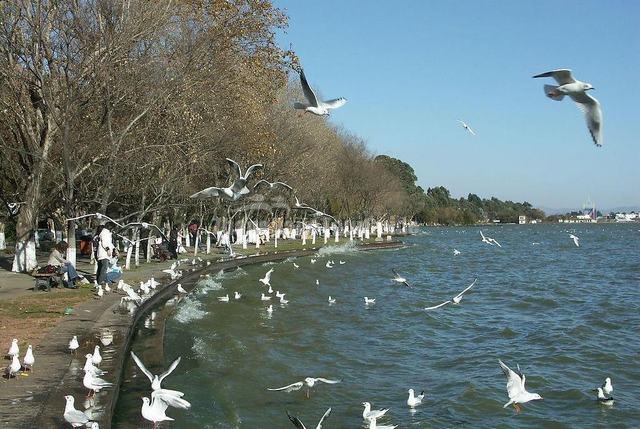 Tien Lake Charming Scenery Kunming