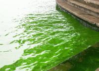 Dian Lake Water