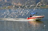 Boating on Dian Lake China