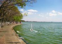 Dian Lake and Seagulls Kunming