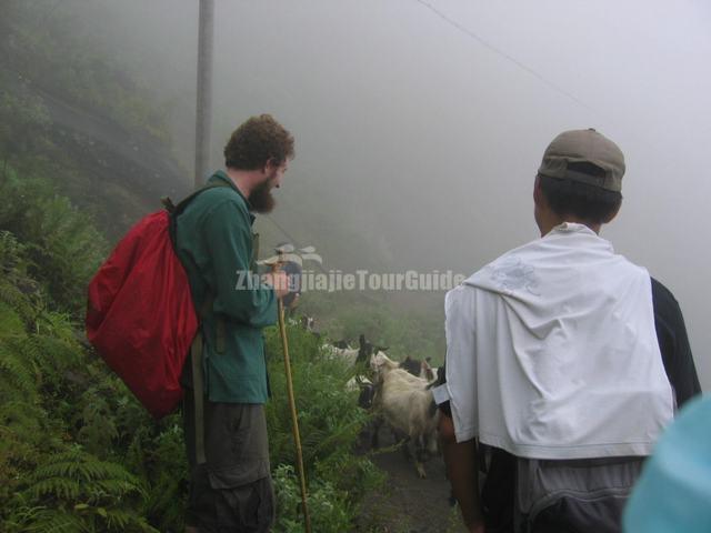 Tiger Leaping Gorge Hiking Lijiang