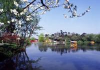 Top 8 China Cities for Spring Travel