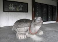 Wenshu Temple Stone Turtle