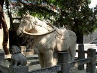 White Horse Temple Horse Stone Sculpture Luoyang