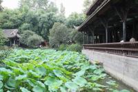 Wuhou Memorial Temple Lotus Pond