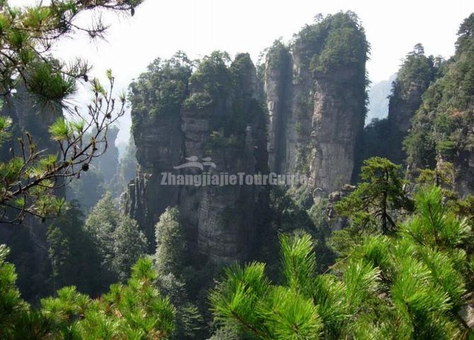 Landscape at Wulingyuan, Zhangjiajie