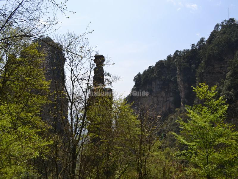 Wulong Zhai Zhangjiajie