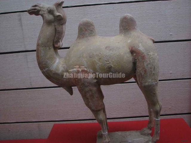 Xian Musuem Camel Sculpture