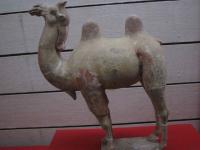 Xian Musuem Camel Sculpture