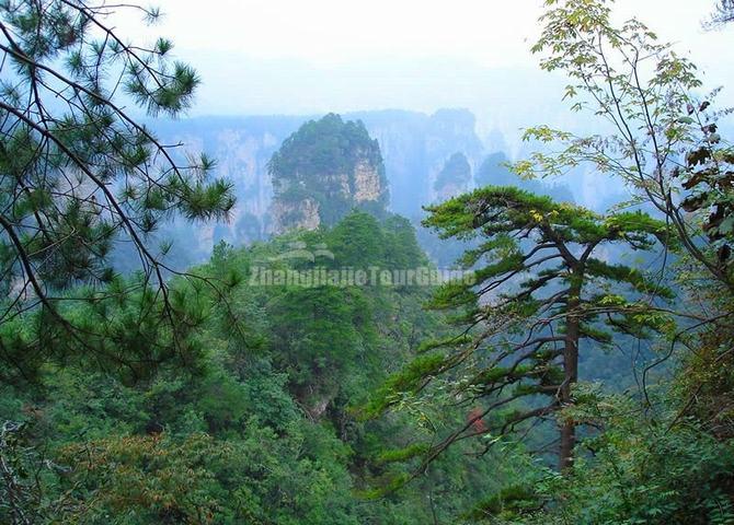 Yaozi Village at Zhangjiajie National Forest Park China